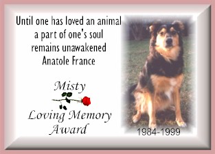 Misty Loving Memory Award, a gift to Bosses memory 28 dec `00.